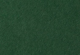 ColorPlan Forest Green