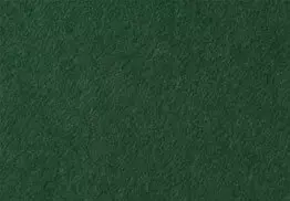 ColorPlan Forest Green