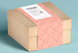 Custom Packaging Sleeves