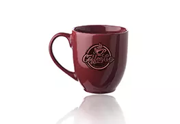 Glossy Mug - Maroon