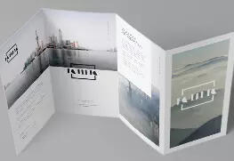 Bulk offset Brochures