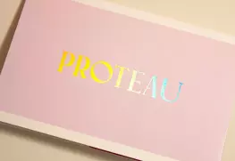 Foil Stamp Brochures